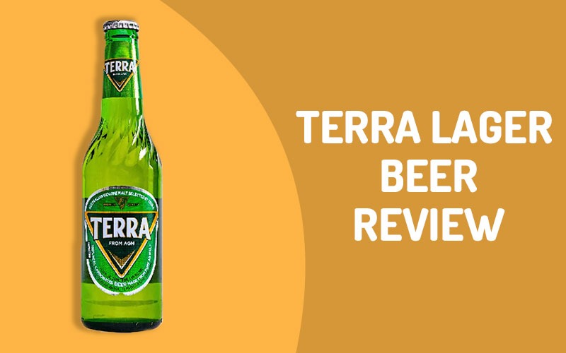 Taj Mahal Beer review